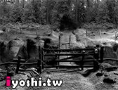 賽爾號繁體版稀有精靈